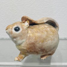 モモちゃん①